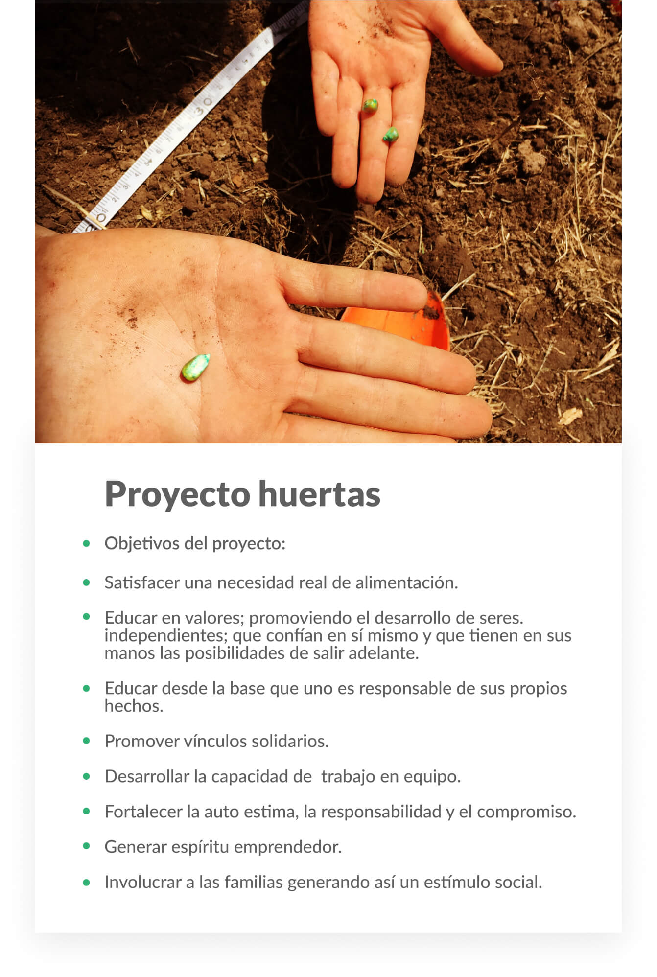 Proyecto Huertas