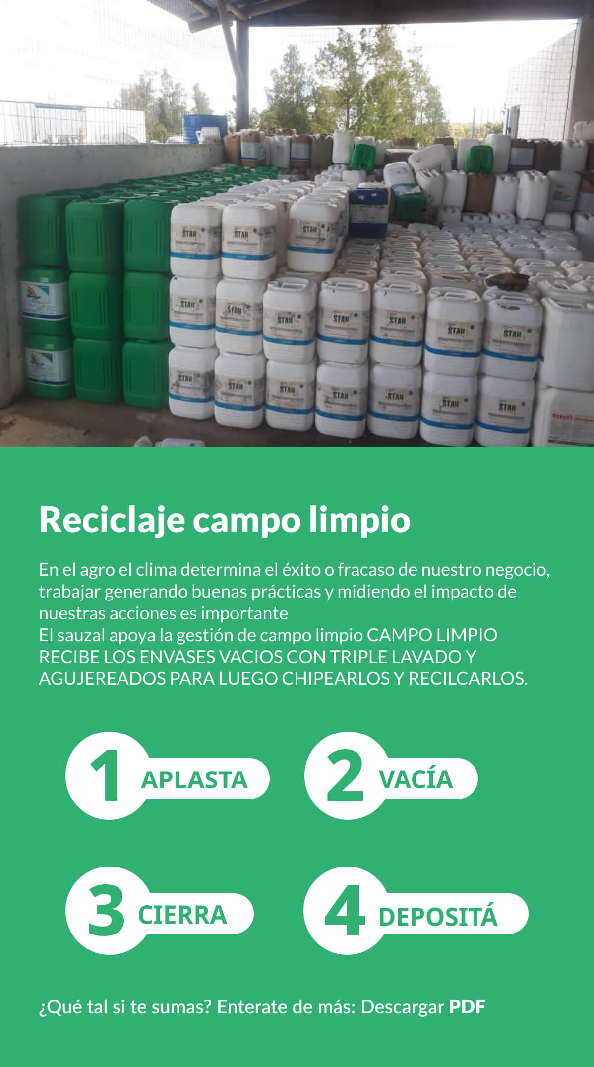 Reciclaje Campo Limpio