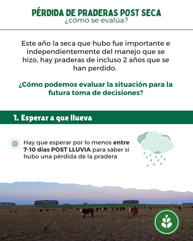 imagen galería