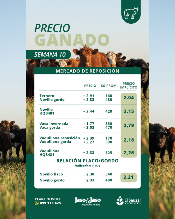 imagen galería