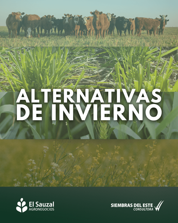 imagen galería