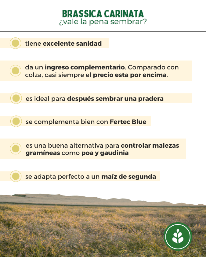 imagen galería