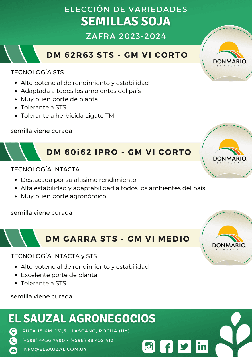 imagen galería