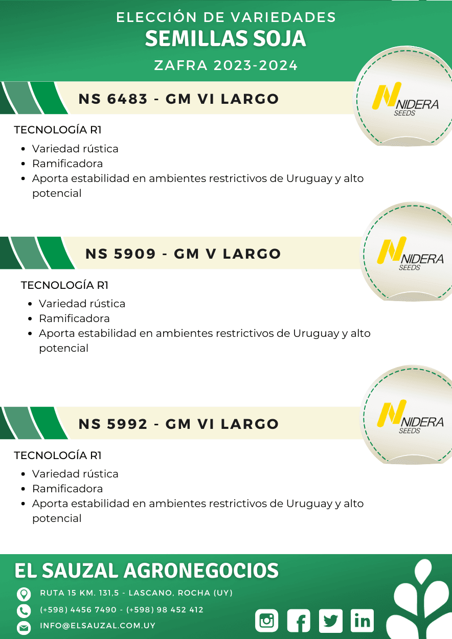 imagen galería