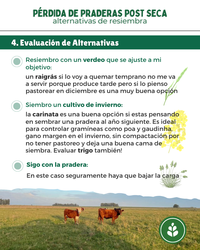 imagen galería
