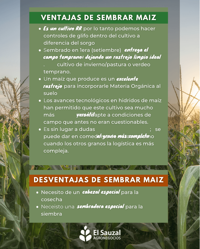 imagen galería