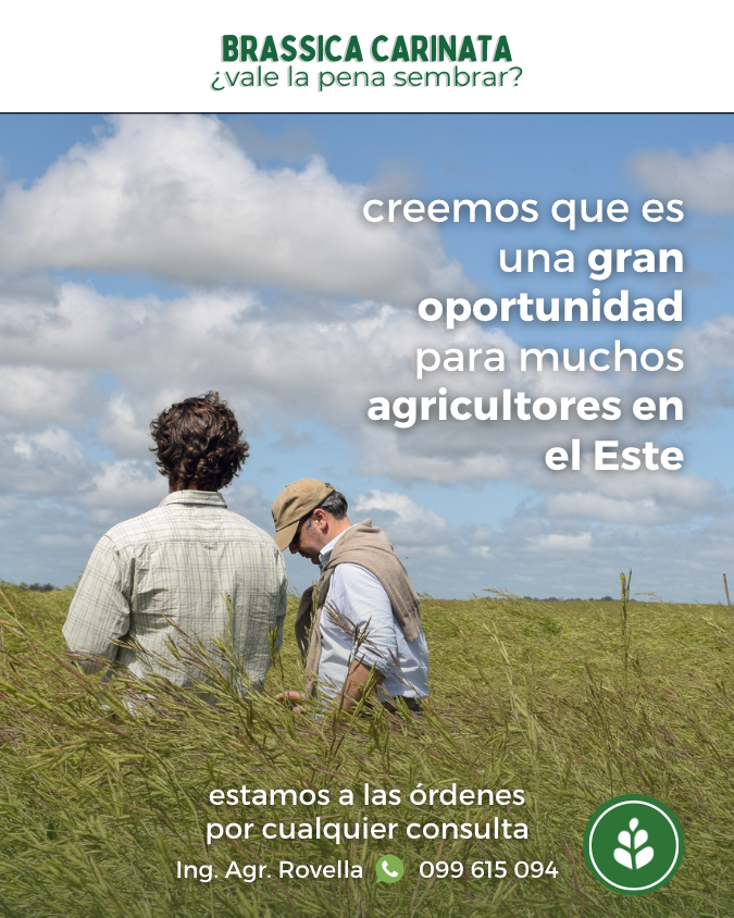 imagen galería
