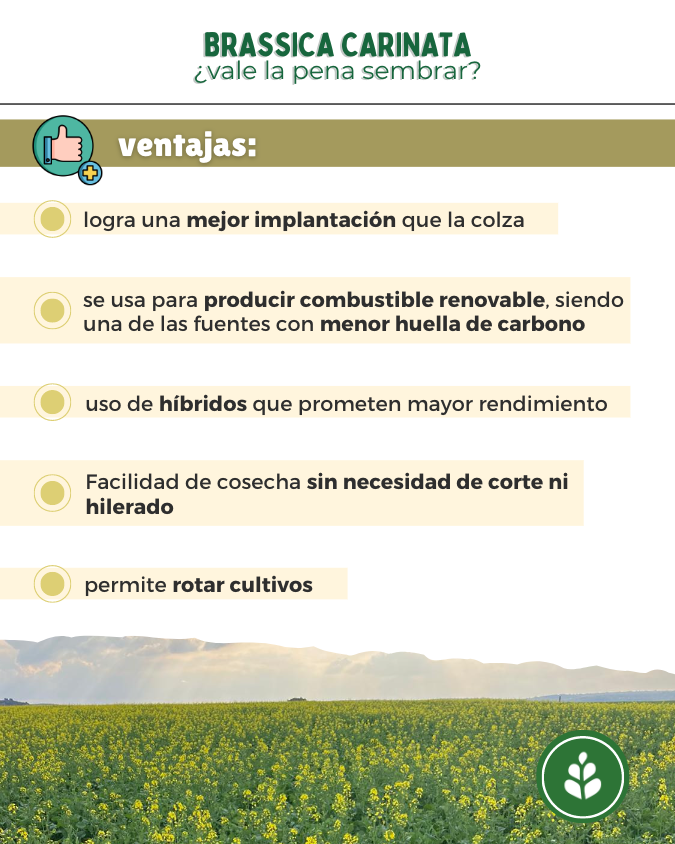 imagen galería