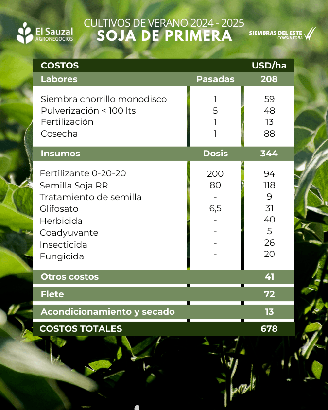 imagen galería