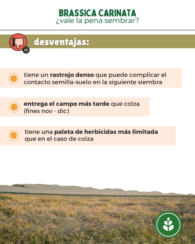 imagen galería