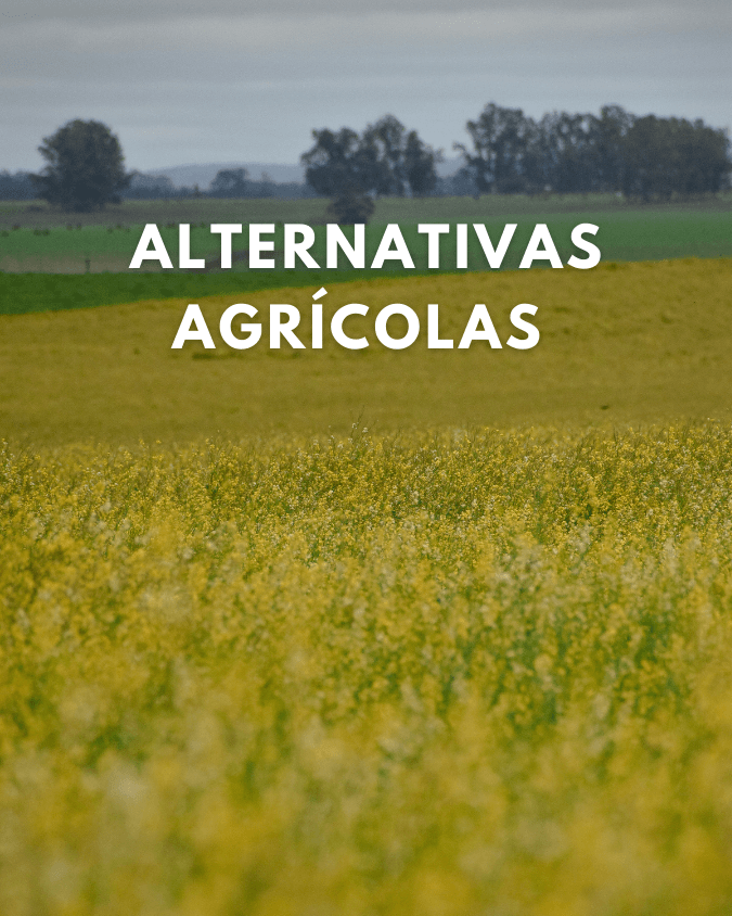 imagen galería