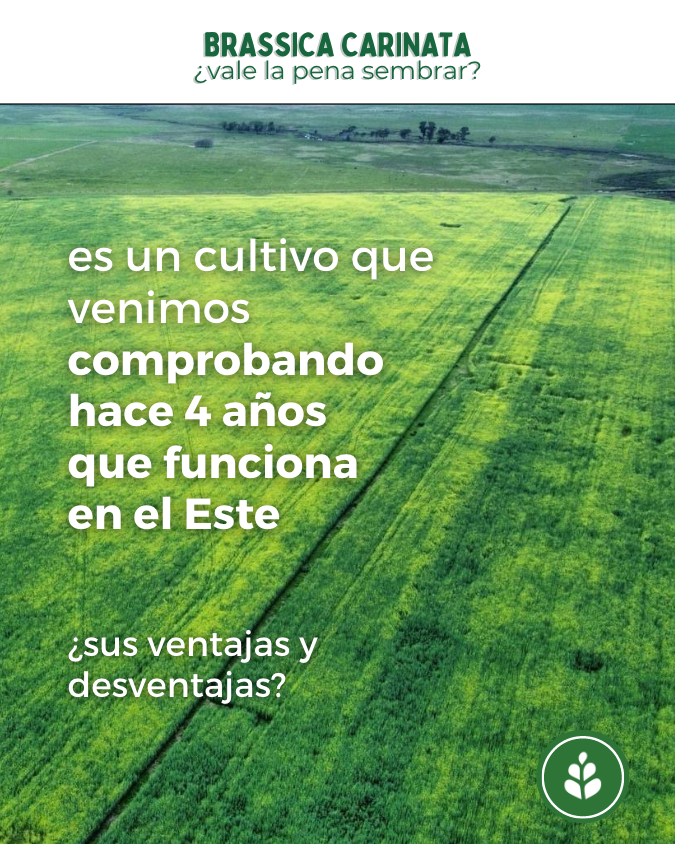 imagen galería