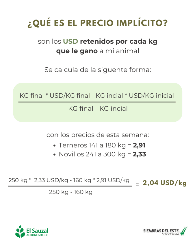 imagen galería