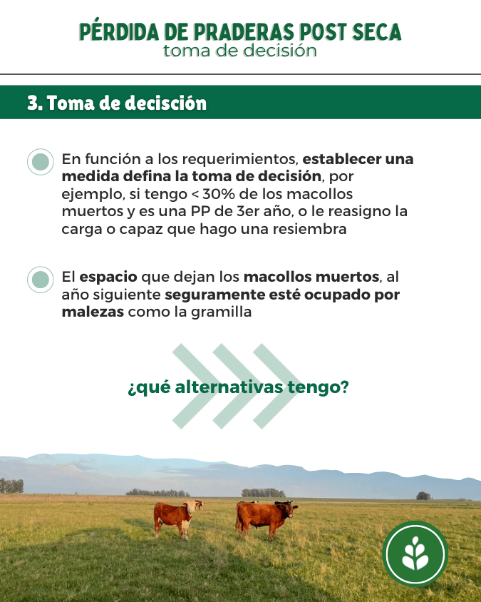 imagen galería