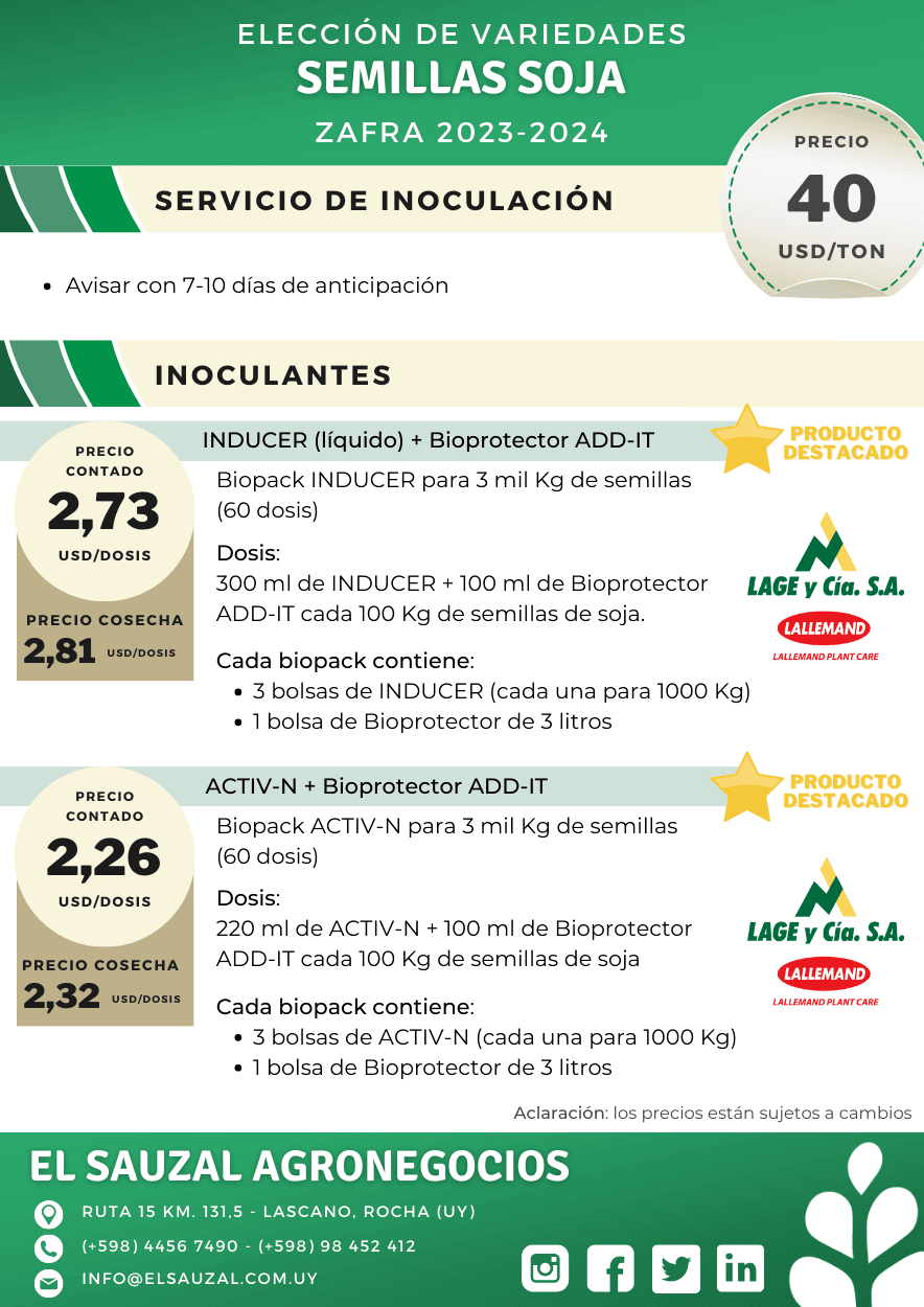 imagen galería