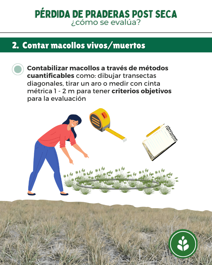 imagen galería