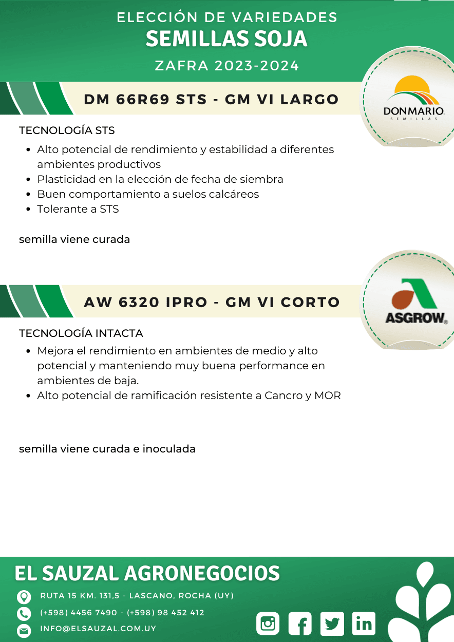 imagen galería