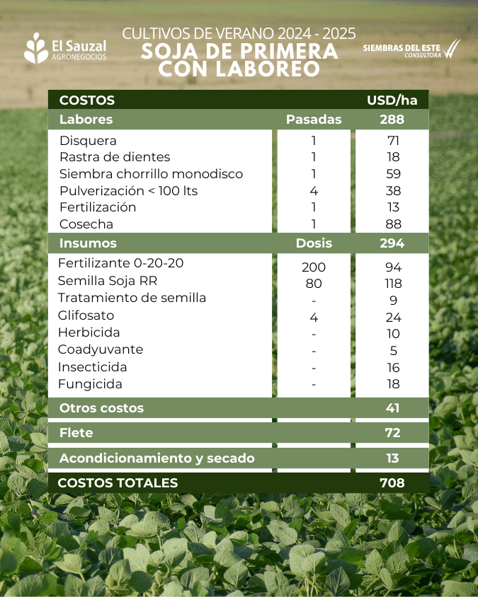 imagen galería