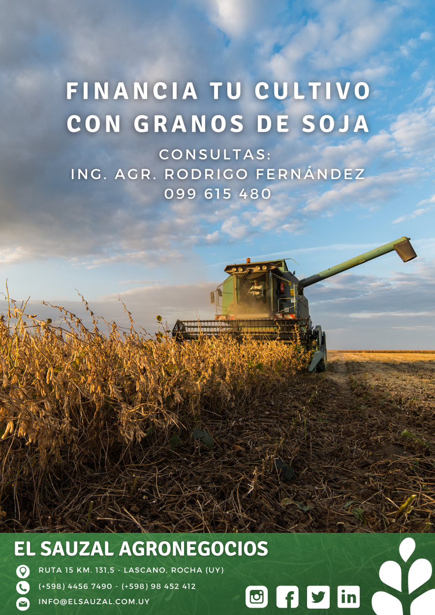 imagen galería