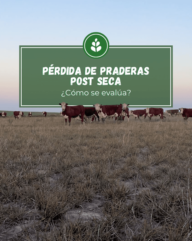 imagen galería