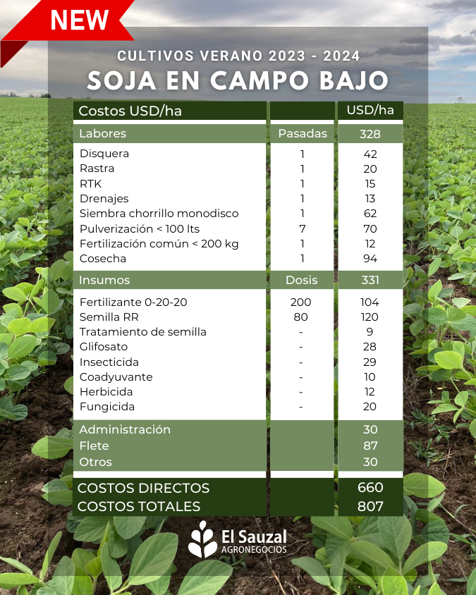imagen galería