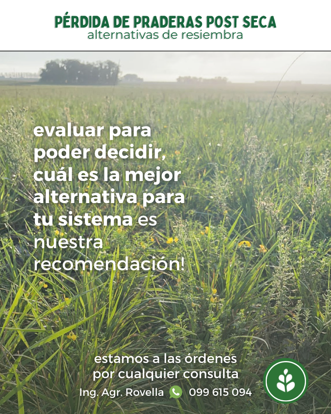 imagen galería