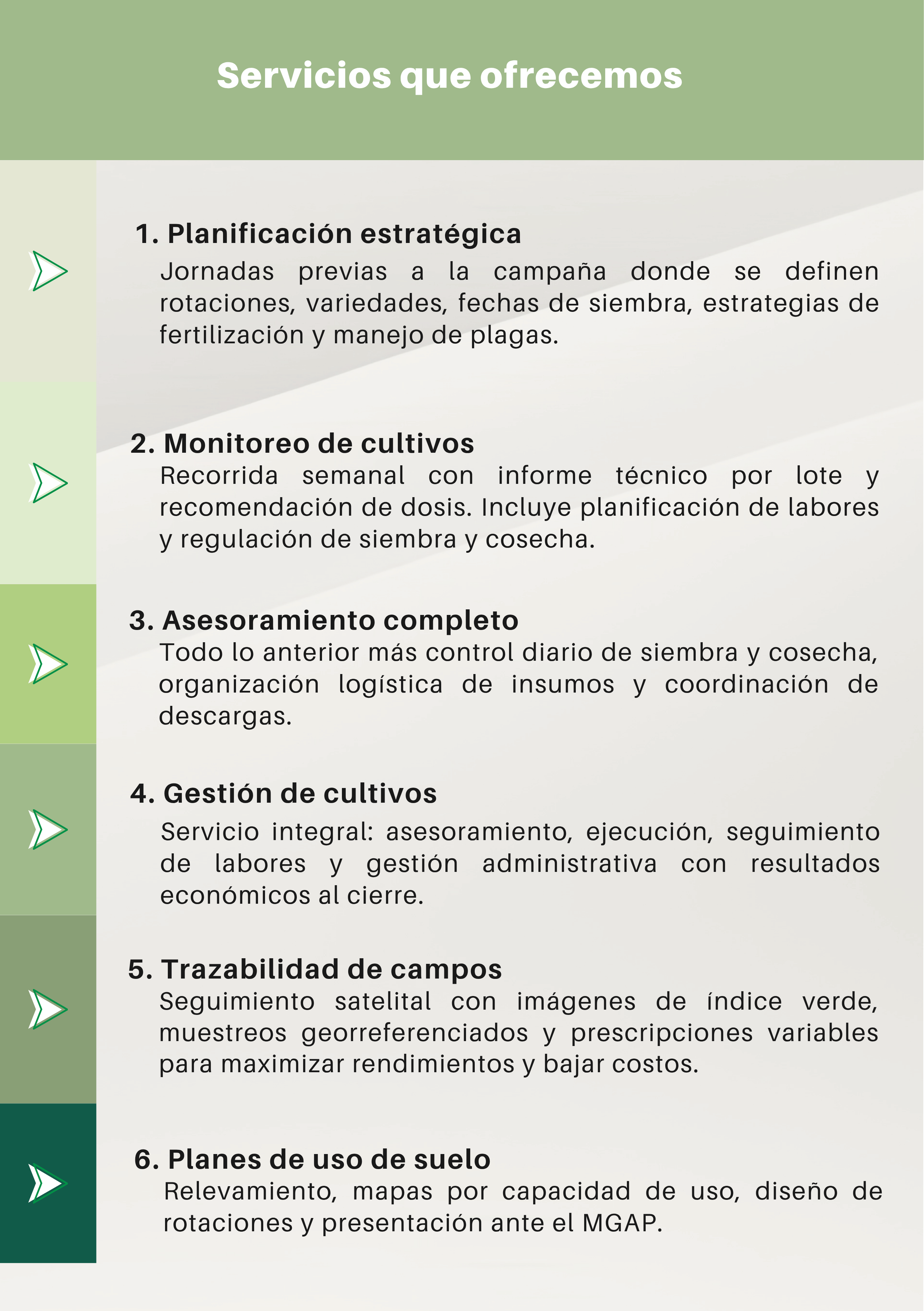 imagen galería