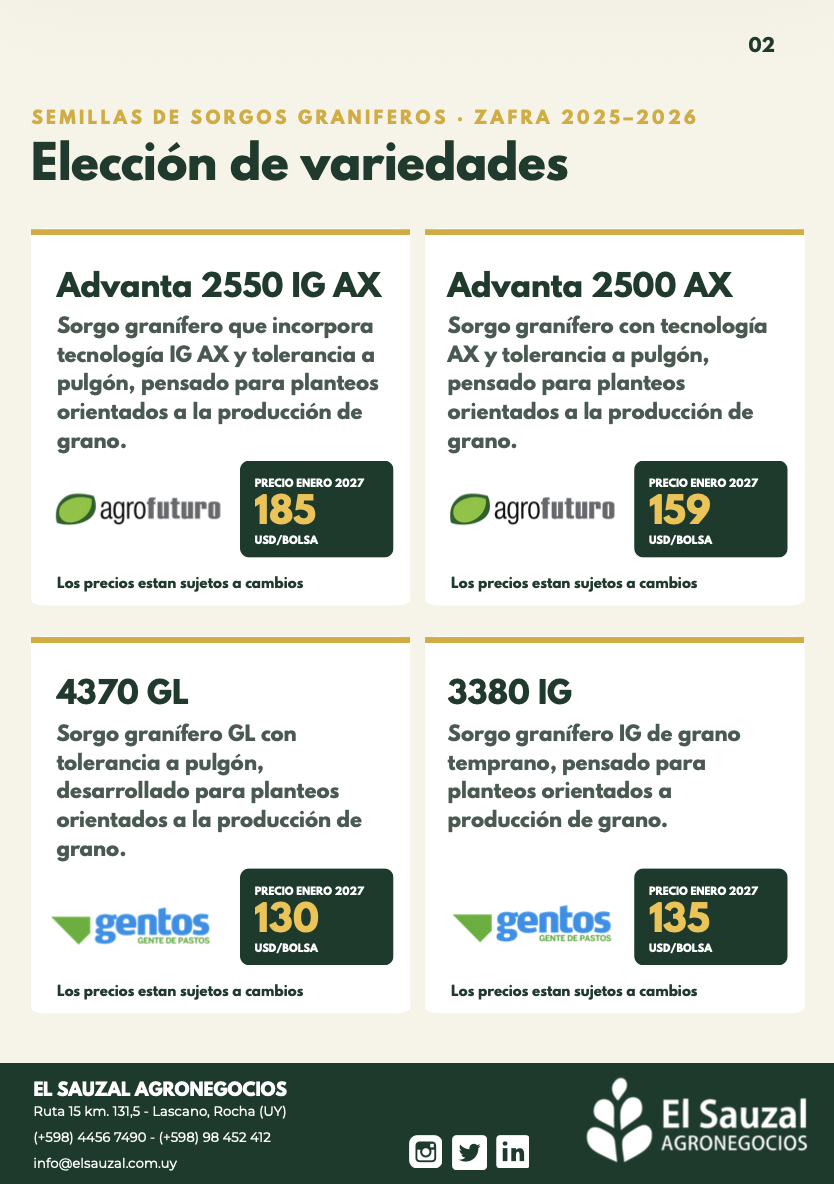 imagen slider