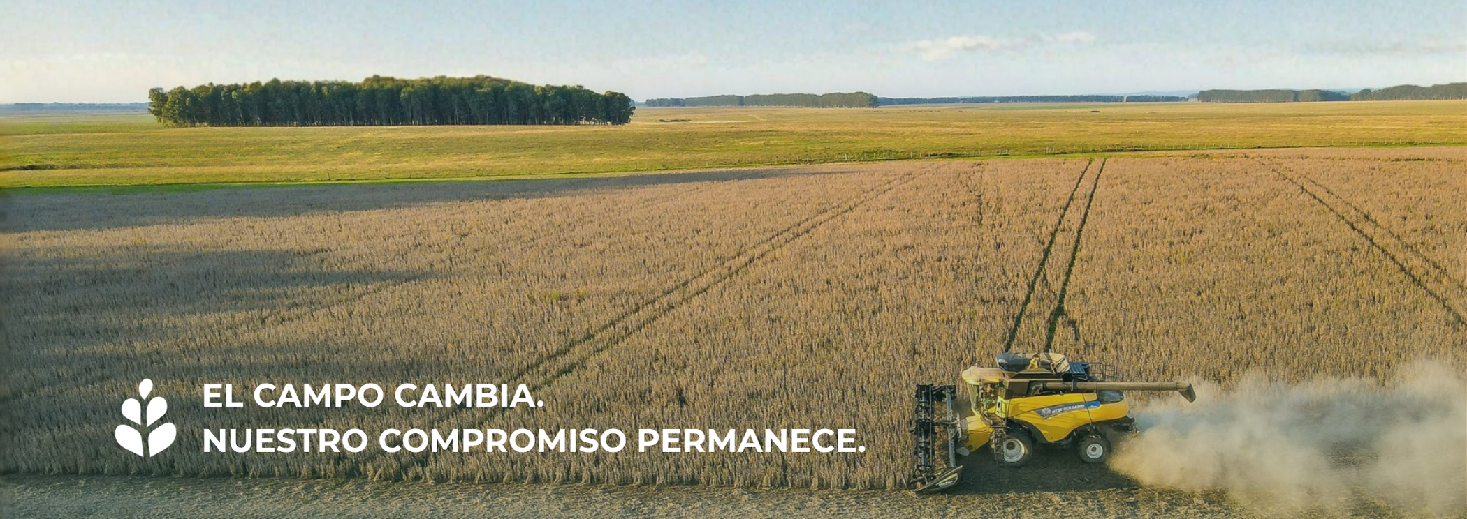 El campo cambia