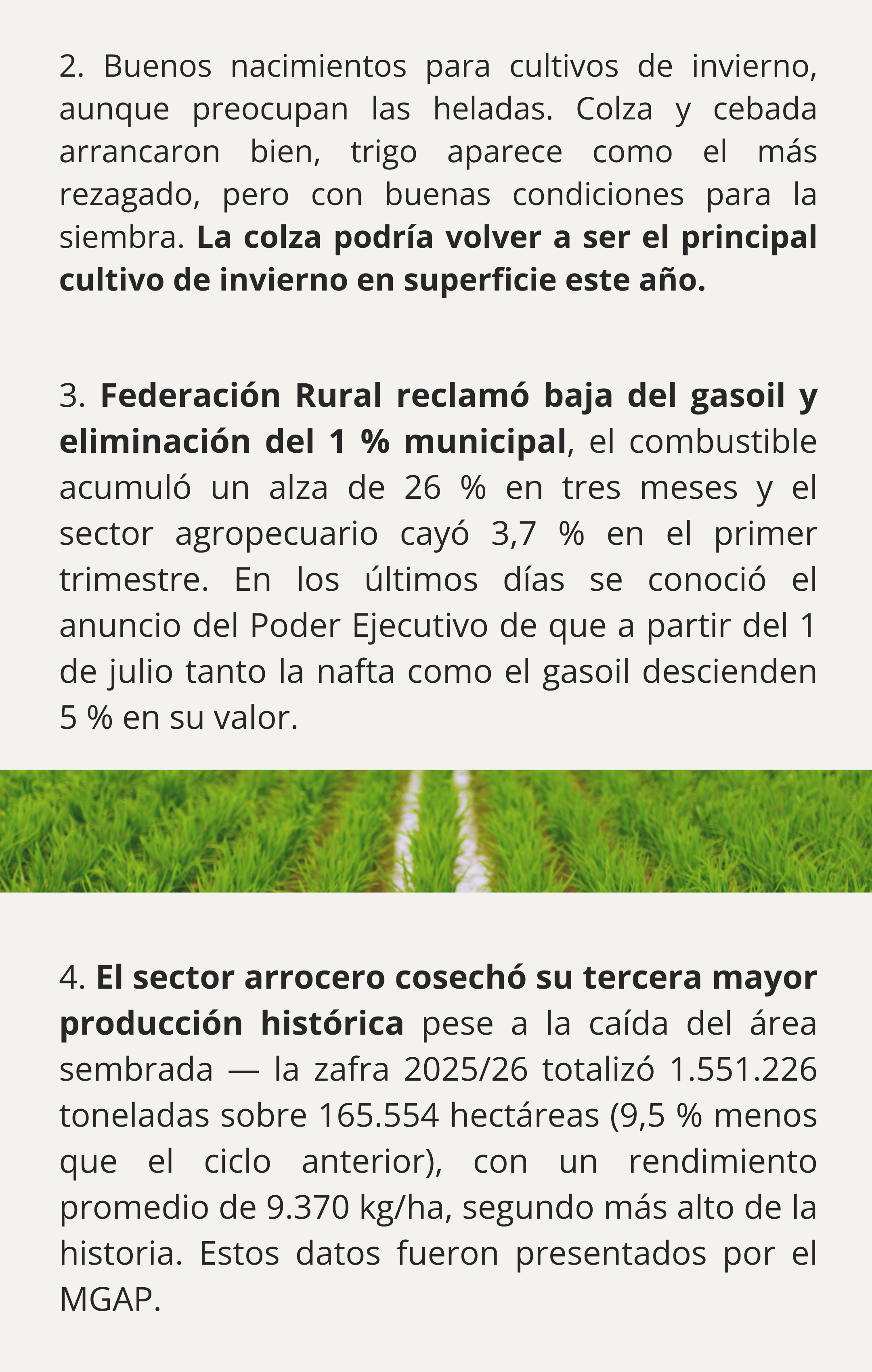 imagen galería