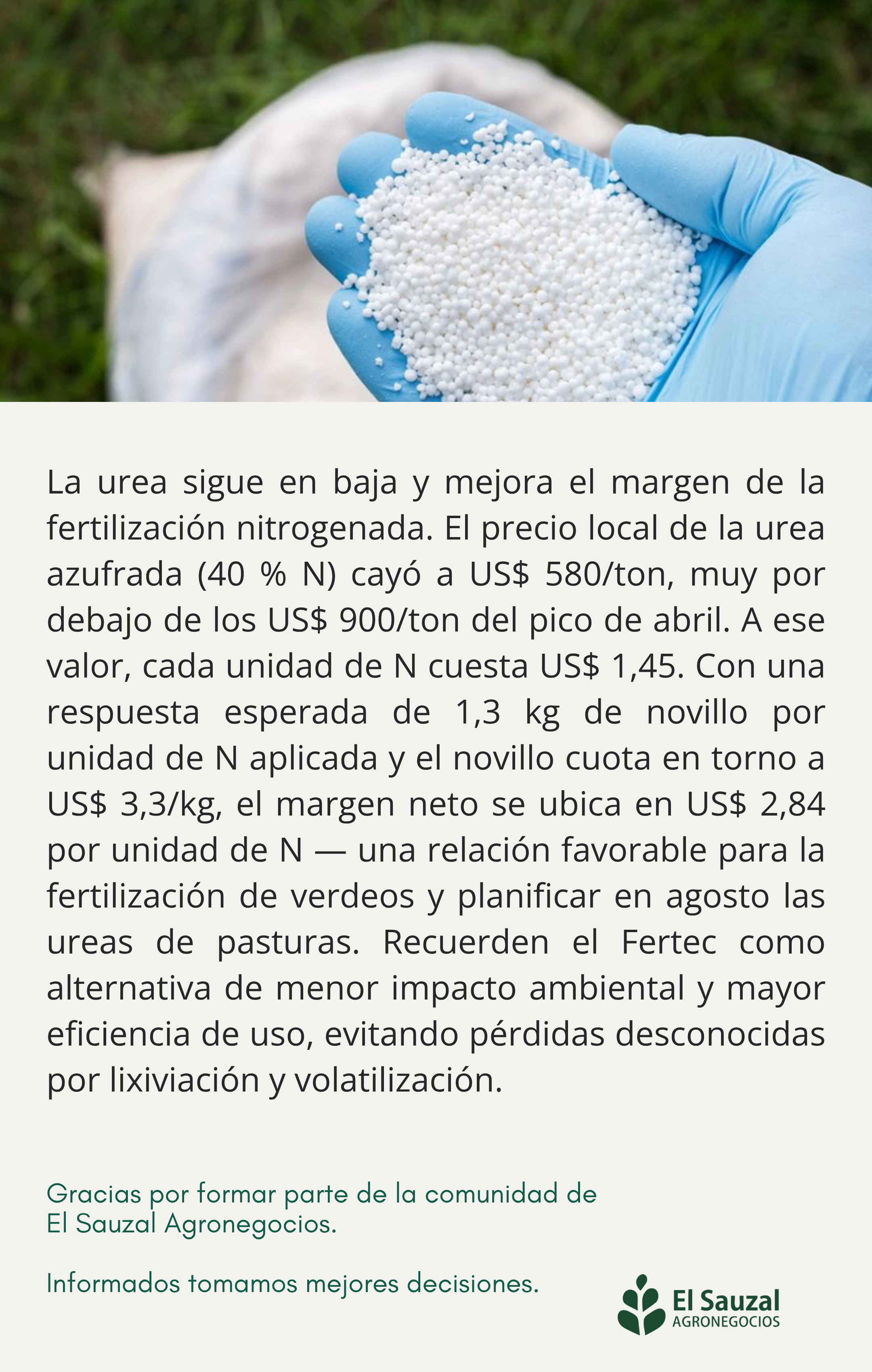 imagen galería
