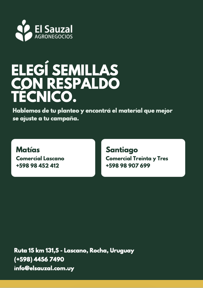 imagen slider